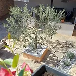 Casa Simeti Charming Mediterranean Near With Private Garden & Free Parking Apartament