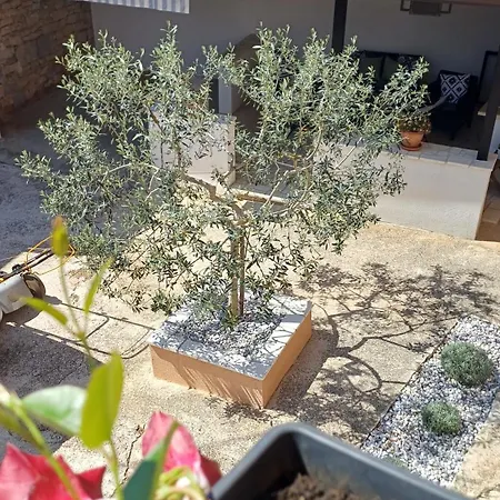 Casa Simeti Charming Mediterranean Near With Private Garden & Free Parking Apartamento