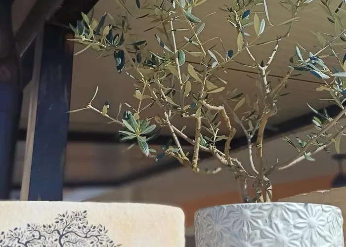 Casa Simeti Charming Mediterranean Near With Private Garden & Free Parking *