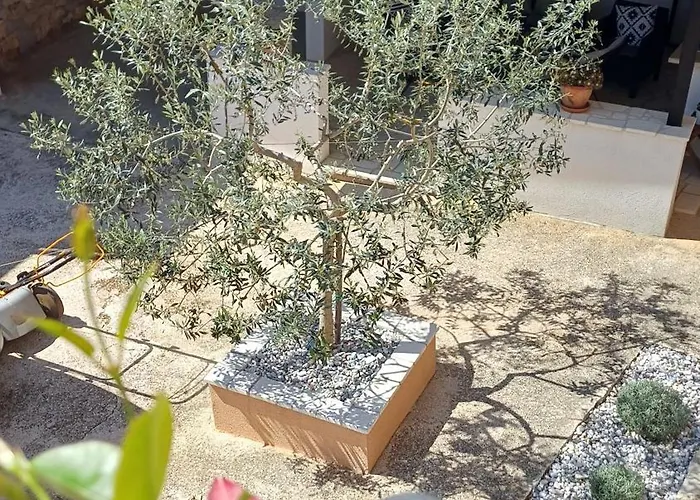 Casa Simeti Charming Mediterranean Near With Private Garden & Free Parking Διαμέρισμα